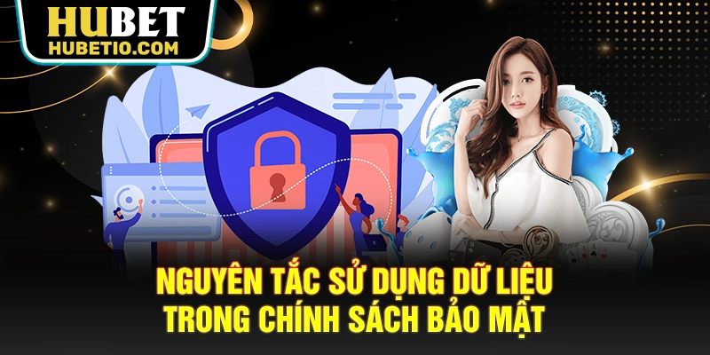 Nguyên tắc sử dụng dữ liệu trong chính sách bảo mật
